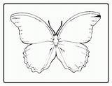 Coloring Butterfly Outline Pages Printable Morpho Templates Para Coloringhome Blue Butterflies Kids Popular Desenhos Colorear Desenho Drawing Library Clipart Pasta sketch template