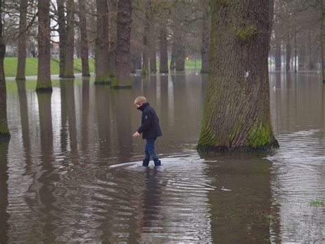 dit zijn de gevolgen van klimaatverandering voor nederland milieudefensie