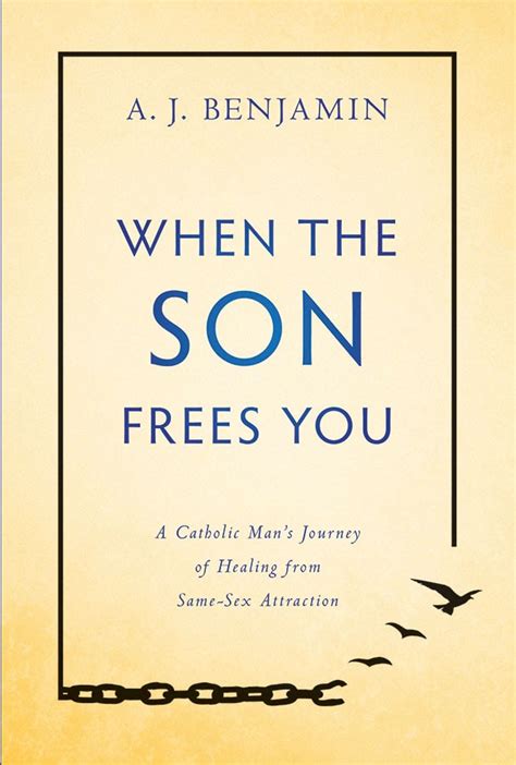 when the son frees you a catholic man s journey of healing from same sex attraction