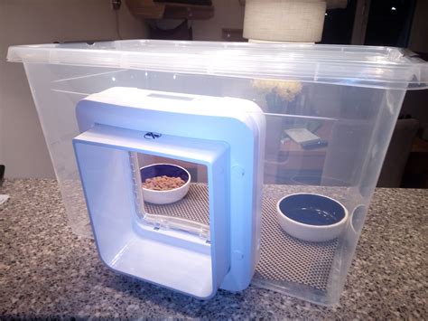 selfmade feeding station   cat    microchip catflap   plastic box