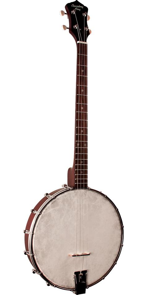 recording king dirty  tenor banjo ebay