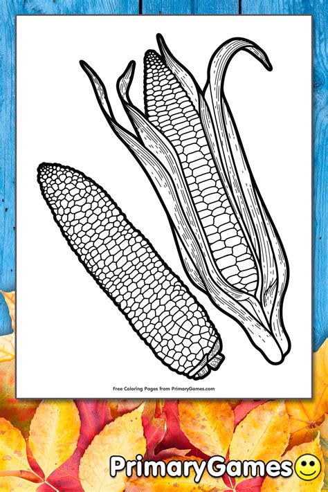 corn coloring page printable thanksgiving coloring  primarygames