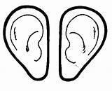 Pair Coloring Designlooter Ear Pages 489px 31kb sketch template
