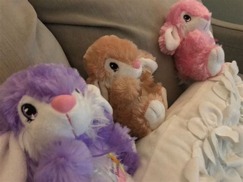 stuffed animals sitting  top   couch