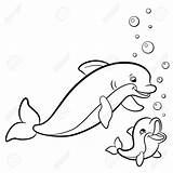 Coloring Pages Dolphin Baby Dolphins Animal Animals Cute Printable Miami Wild Drawing Marine Getdrawings Choose Board Color sketch template