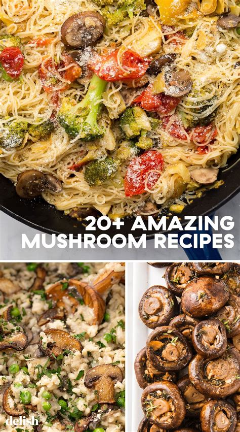 amazing mushroom recipes   tonight mushroom recipes mushroom