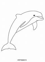Dolphin Drawing Coloring Line Draw Drawings Dolphins Coloringpage Eu Kids Animal Getdrawings Choose Board Step Mermaids sketch template