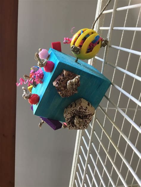 bird house    cupcakes    hanging   ceiling