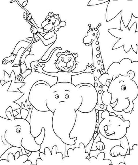 pin  janet bowen  jungle animals zoo animal coloring pages