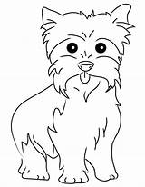Coloring Yorkie Pages Yorkshire Printable Terrier Dog Puppy Color Teacup Drawing Yorkies Colouring Cute Maltese Dessin Dogs Puppies Print Bichon sketch template
