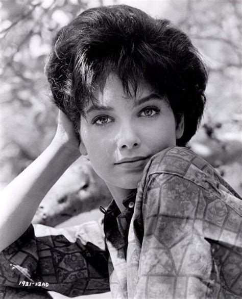 40 glamorous photos of suzanne pleshette in the 1960s ~ vintage