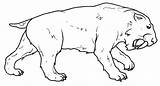 Prehistoricos Prehistoria Sable Tigre Dientes Colorare Disegni Laminas Smilodon Pinta Las sketch template