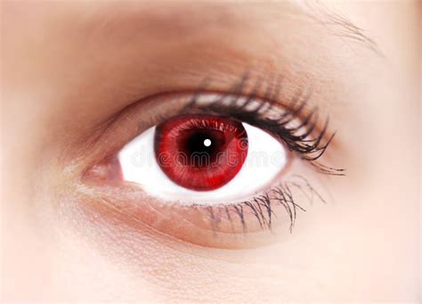 red eye royalty  stock images image