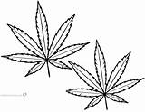 Leaf Weed Coloring Marijuana Pages Easy Pot Drawing Printable Hemp Cannabis Leaves Print Template Clipartmag Step Kids sketch template