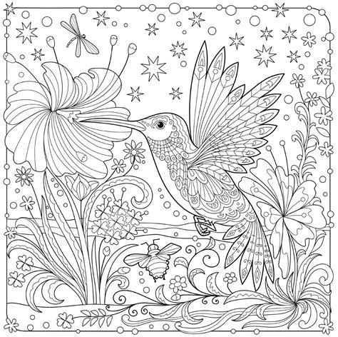 pin  barbara  coloring birds bird coloring pages animal coloring