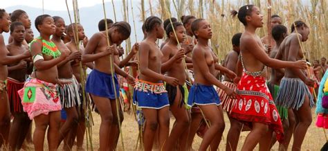 Reed Dance Festival Zulu Ritual In Motion