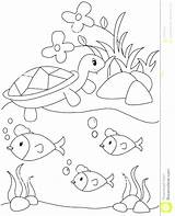 Pond Coloring Pages Royalty Habitat Animals Printable Color Animal Arctic Getcolorings Getdrawings Description Template Plants sketch template