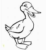 Quack sketch template