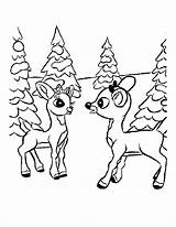 Reindeer Coloring Pages Printable Cartoon Christmas Kids Color Colouring Printables sketch template