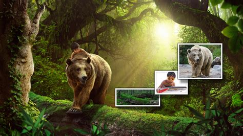 photoshop compositing  easy photoshop training channel