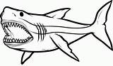 Shark Coloring Pages Printable Megalodon Great Sharks Kids Drawing Big Angry Clipart Print Drawings Clip Tiger Tail Sketch Etk Coloringhome sketch template