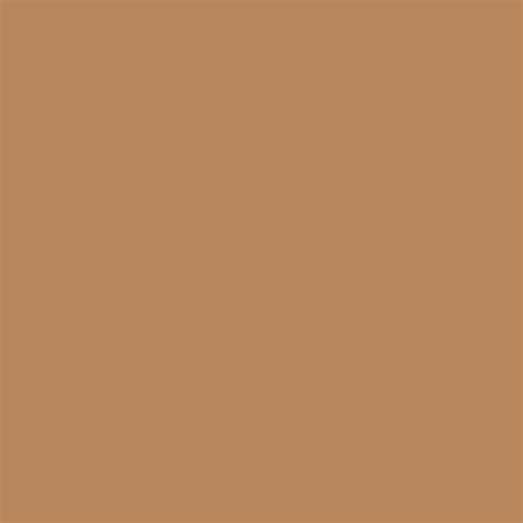 light brown ombre background brown pastel color  adventures  lolo