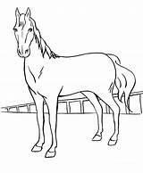 Horse Coloring Pages Girls Girl Getcolorings Printable sketch template