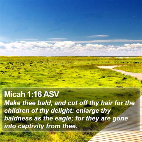 Micah 1 Scripture Images Micah Chapter 1 Asv Bible Verse Pictures