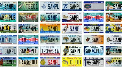 florida  offer specialty license plate  supports israel vinnews