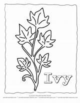 Ivy Coloring Leaf Leaves Printable Template Pages Drawing Plant Stencils Color Sheets Wonderweirded Crafts Wildlife Drawings Nature Pree Teacher Kids sketch template