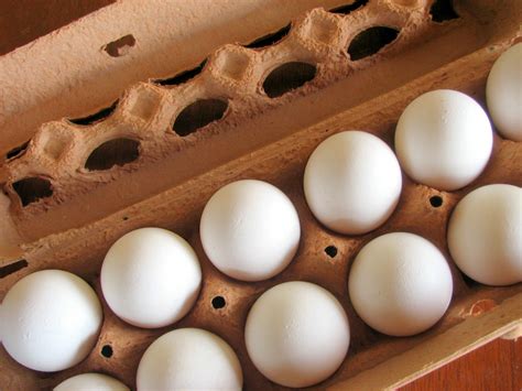 domestic servitude   eggs