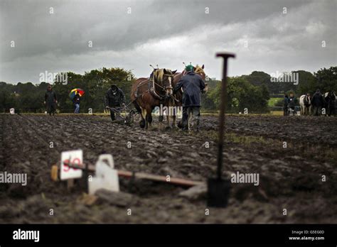 mucky conditions     horse plough class category   national ploughing