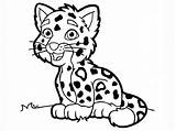 Jaguar Coloring Baby Pages Ages Freecoloringpages Via sketch template