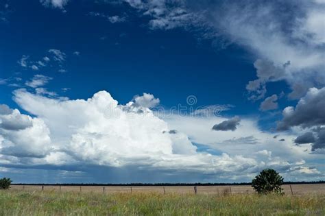 blue sky over a green field stock image image of nature