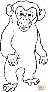 Chimpanzee Coloring Cartoon Ape Pages Angry Gorilla Printable Color Clipart Cliparts Template Kids Drawing Common Clip Library Gif Apes Popular sketch template