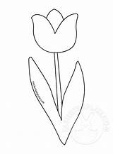 Tulip sketch template