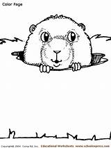 Coloring Pages Gopher sketch template