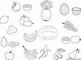 Frutas Dibujos Megadiverso sketch template