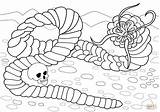 Coloring Worm Pages Death Mongolian Drawing sketch template