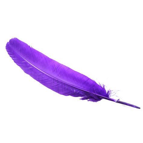 collection  violet objects png pluspng