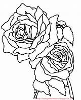 Bunga Mawar Mewarnai Paud Tk Semoga Seni Bermanfaat Meningkatkan Jiwa Kreatifitas sketch template