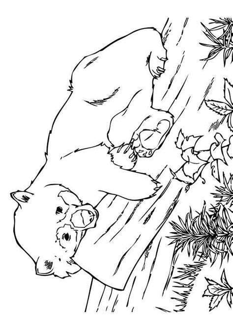 print coloring image momjunction coloring pages  print coloring