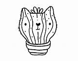 Cactus Cat Coloring Coloringcrew sketch template