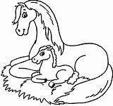 Foal Coloring Pages Mare Colouring Horse Pony Mustang Book Fairy Getdrawings Getcolorings Popular Kids Printable Library Kitty Purple Cartoon Coloringhome sketch template