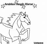 Horse Coloring Arabian Coloringcrew sketch template