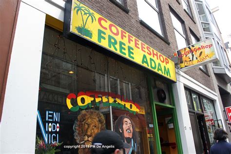 yorker  oslo amsterdam coffee shops head shops sex shop    american hot dog