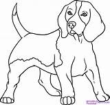 Dog Draw Line Drawing Hunting Outline Library Easy Clipart sketch template