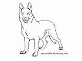 German Shepherd Colouring Puppy Coloringpagesonly Coloringhome sketch template