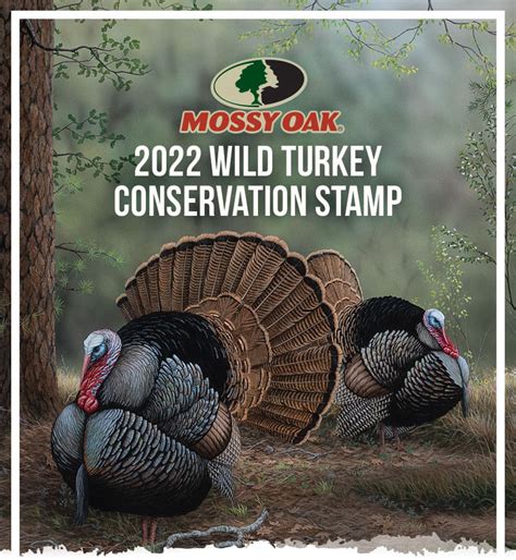 wild turkey stamp 2022 mossy oak