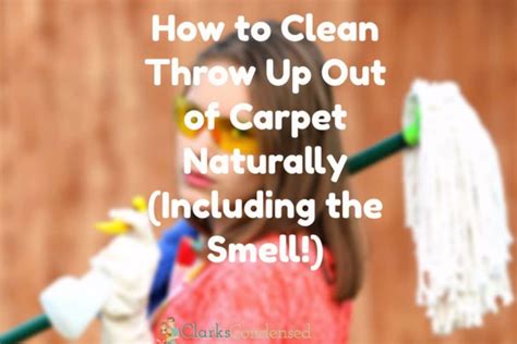 clean throw    carpet naturally including  smell